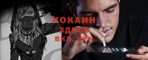 молекула духа Белоозёрский