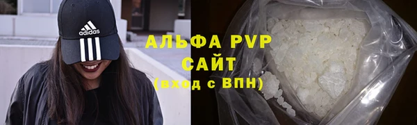 молекула духа Белоозёрский