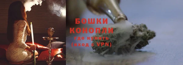 молекула духа Белоозёрский